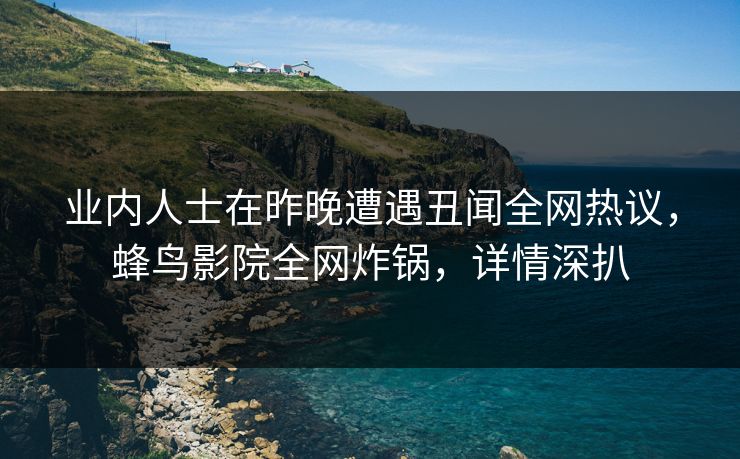 业内人士在昨晚遭遇丑闻全网热议，蜂鸟影院全网炸锅，详情深扒