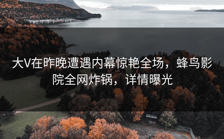 大V在昨晚遭遇内幕惊艳全场，蜂鸟影院全网炸锅，详情曝光