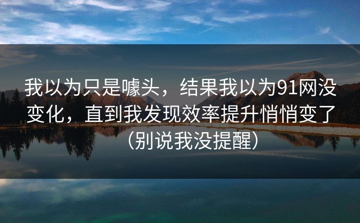 我以为只是噱头，结果我以为91网没变化，直到我发现效率提升悄悄变了（别说我没提醒）