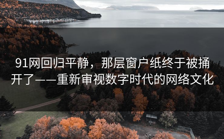 91网回归平静，那层窗户纸终于被捅开了——重新审视数字时代的网络文化