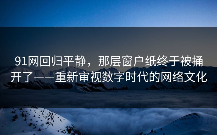 91网回归平静，那层窗户纸终于被捅开了——重新审视数字时代的网络文化